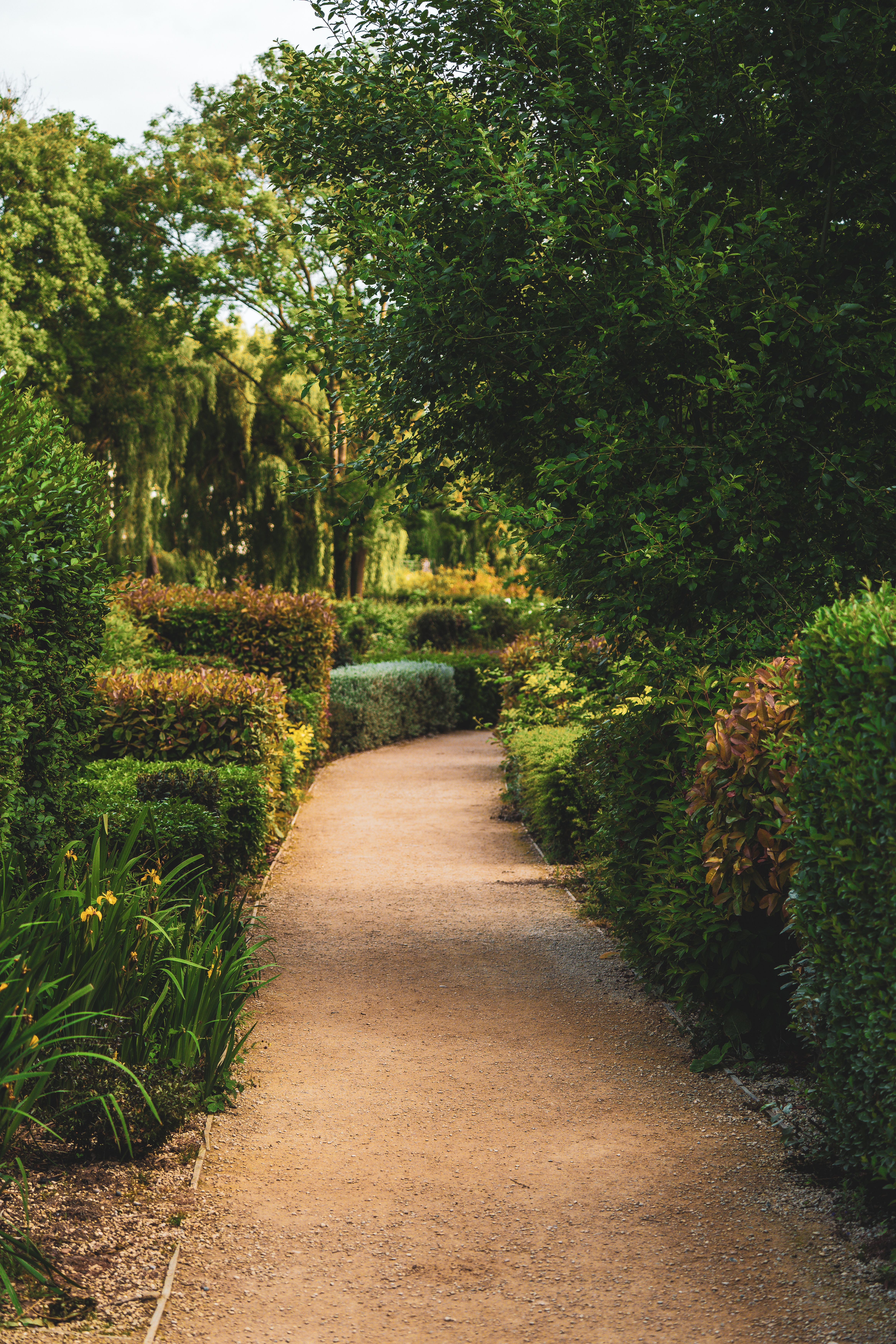 Professional landscape design service in Winnipeg