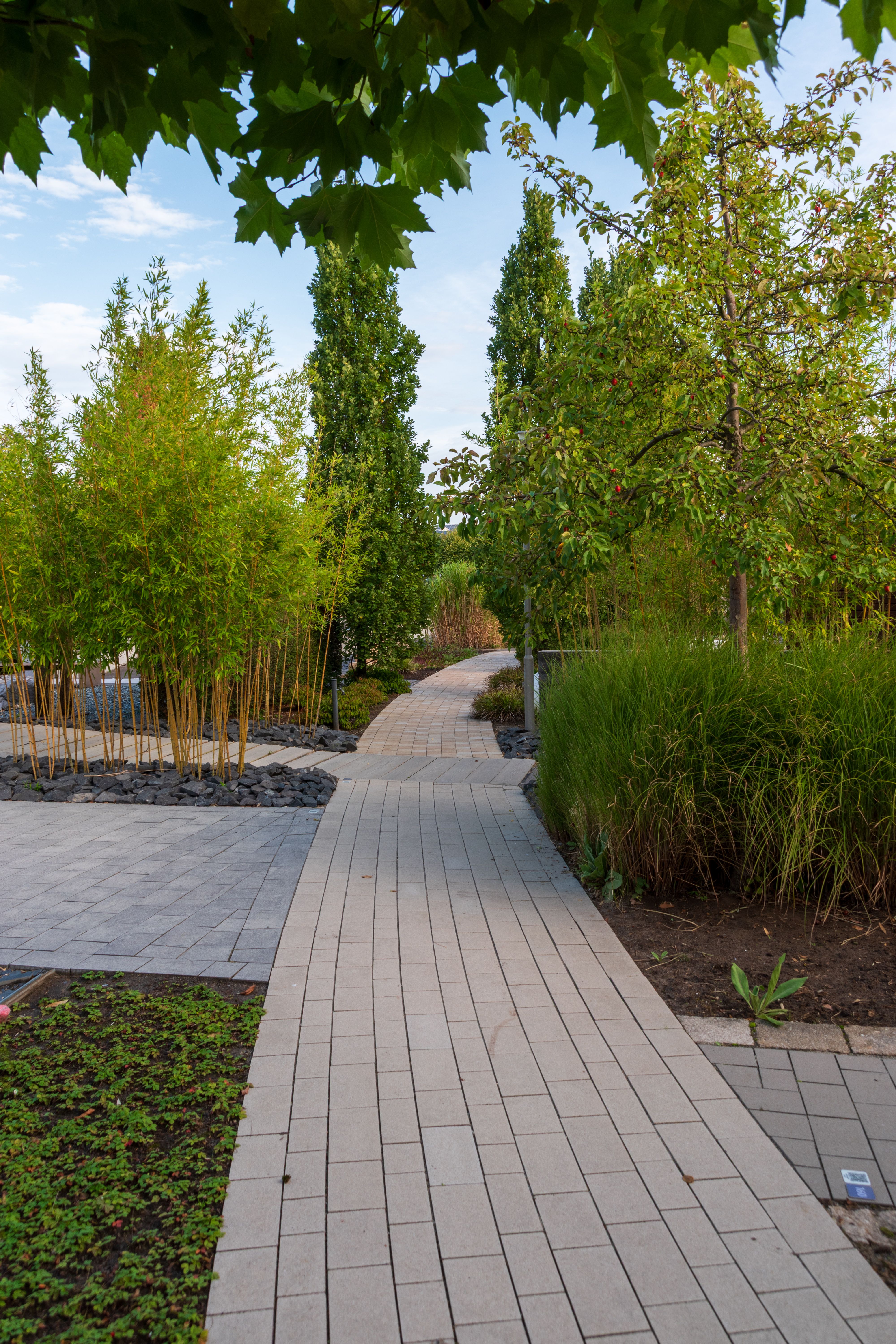 Lush garden with expertly planted shrubs and perennials