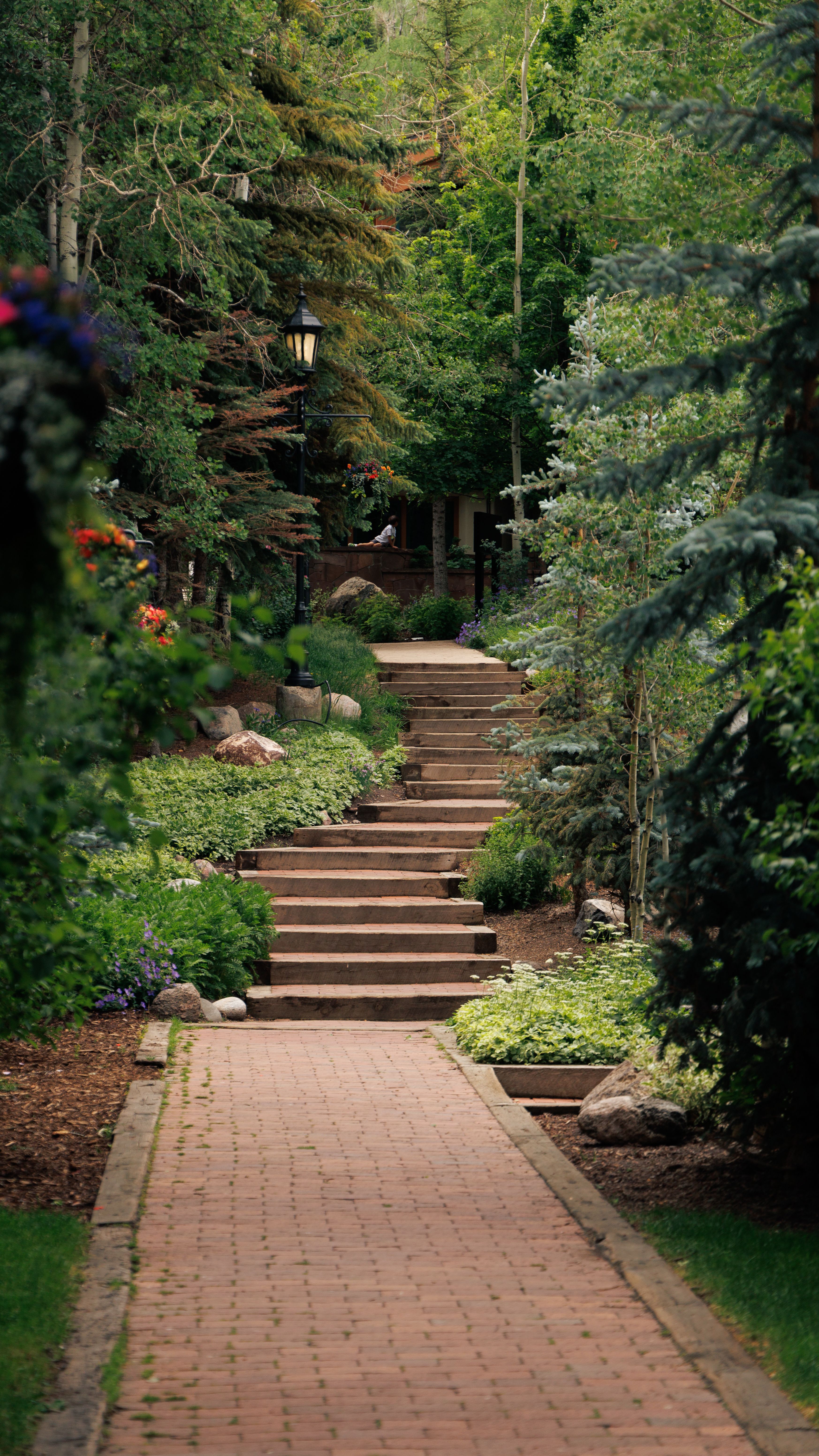 Complete landscape planting transformation