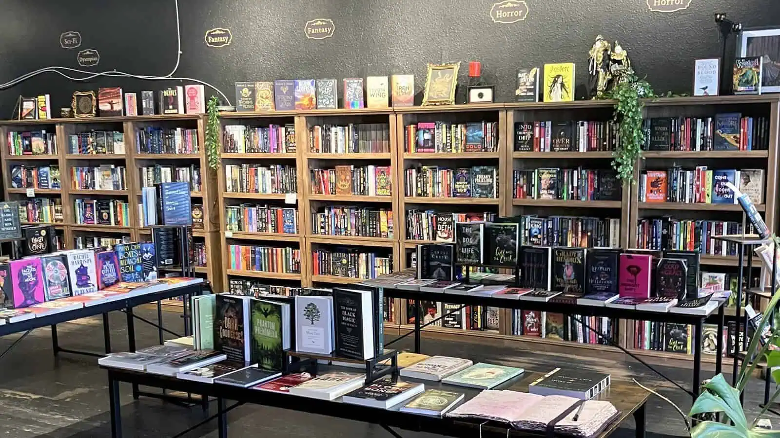 Interior of Bakka-Phoenix science fiction and fantasy bookstore in Toronto with floor-to-ceiling bookshelves