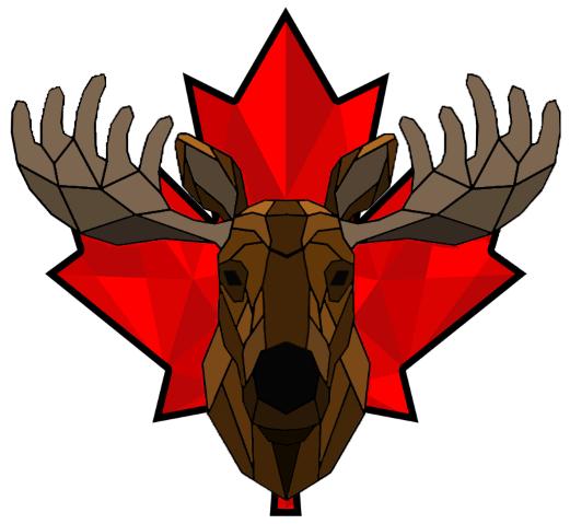 Big Moose Powerwashing