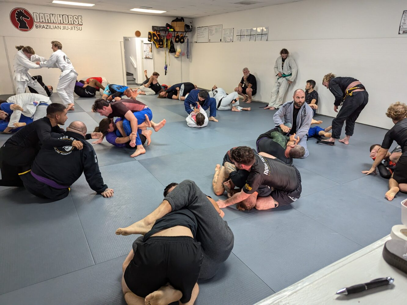 BJJ class training