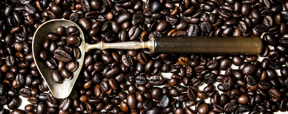 Dark roasted coffee beans with a vintage metal scoop