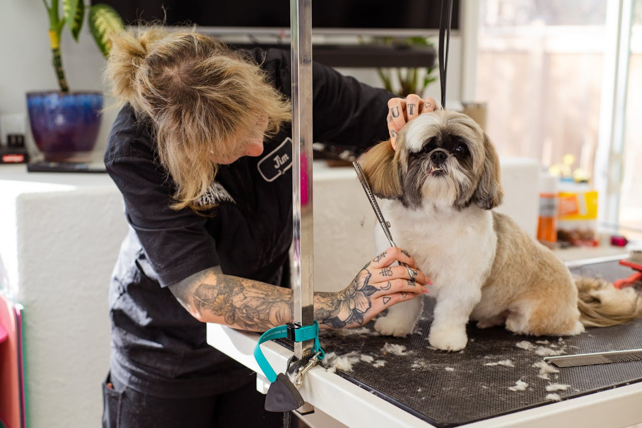 Experienced groomer caring for a happy dog at Doggie Dip & Clip