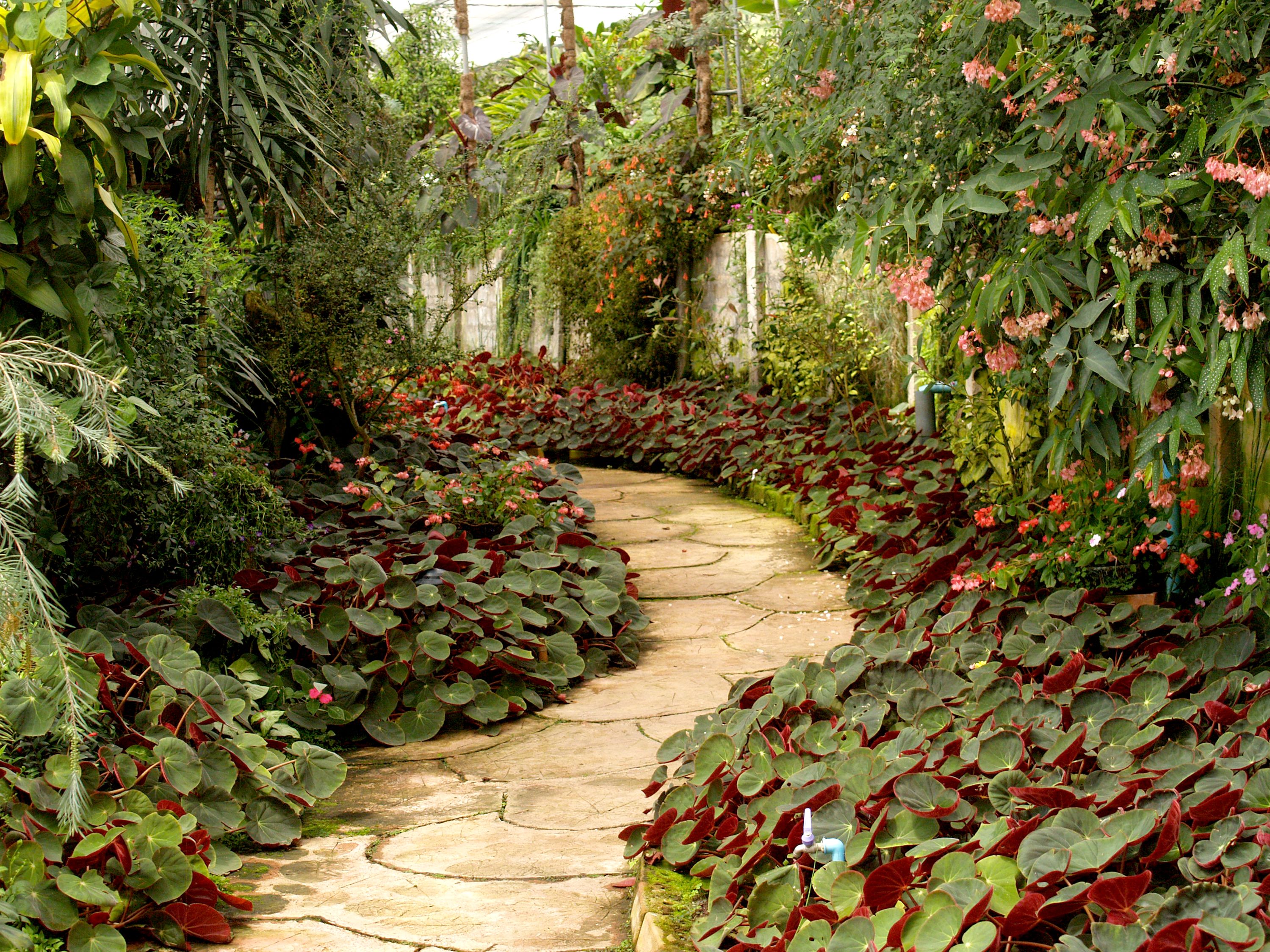 Landscaping work by Boreal Gardens & Grounds