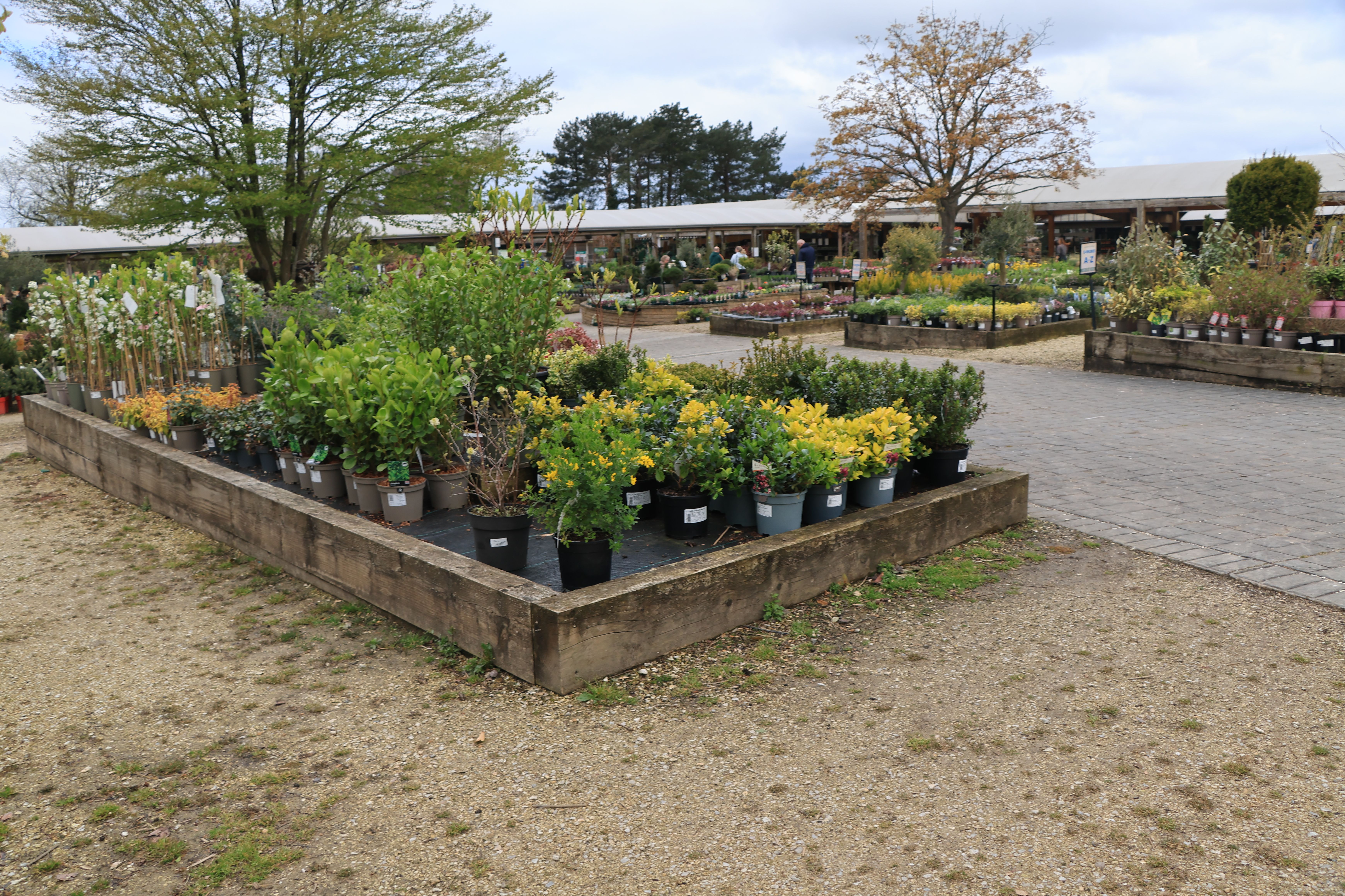 Landscaping work by Maple Grove Landscaping