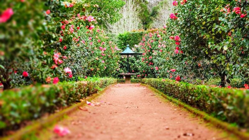 Professional landscaping work