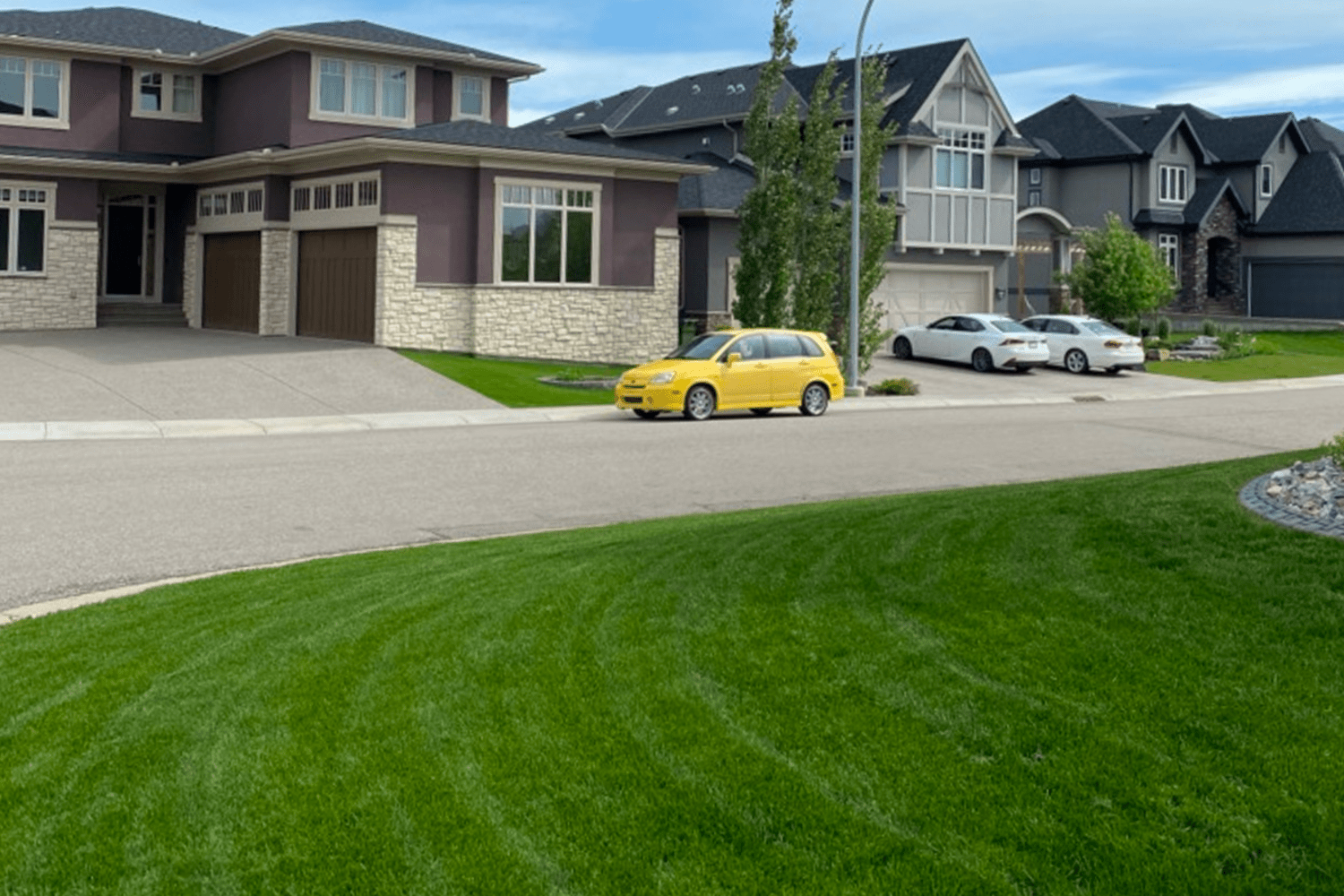 Beautiful lawn results in Edmonton neighbourhood