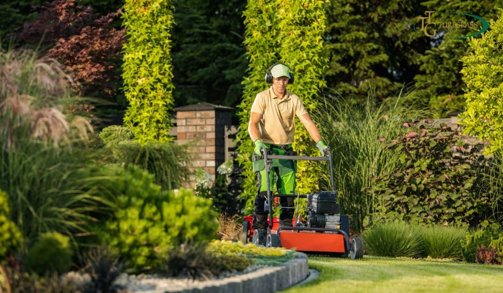 Professional lawn care service in Edmonton
