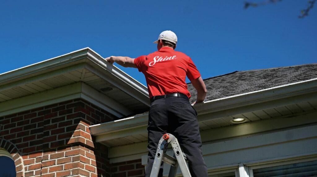 Professional gutter cleaning service