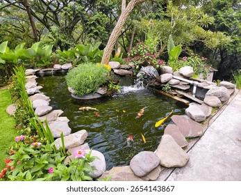 Custom koi pond installation