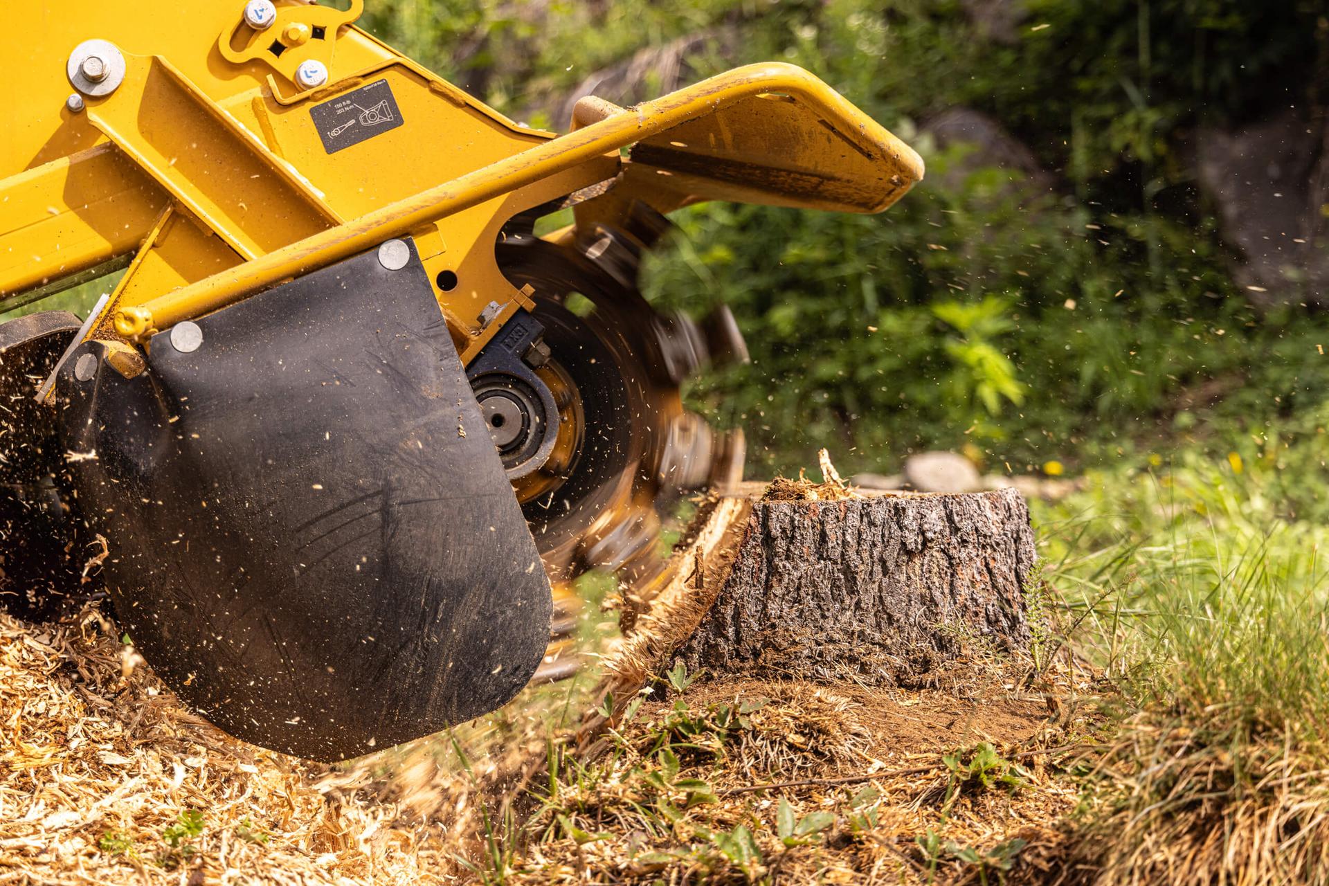 Stump grinding equipment in action
