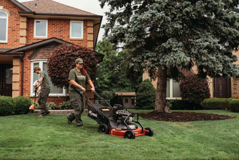 Professional lawn care and landscaping team at work